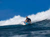 CBC 5'8" Fish Soft Surfboard